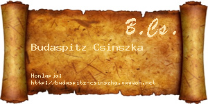 Budaspitz Csinszka névjegykártya